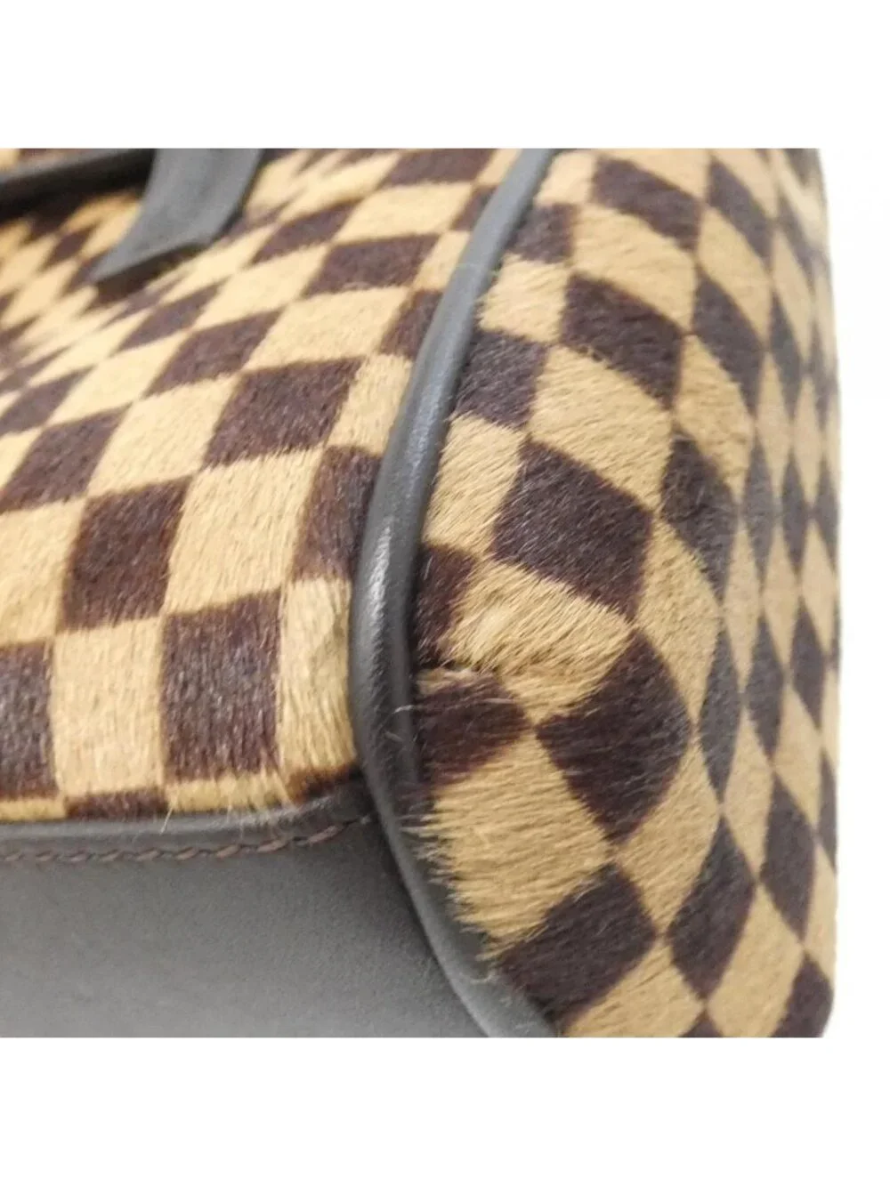 Louis Vuitton Vintage Damier Sauvage Lion